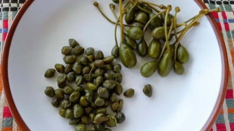 Κάπαρη: Το φυτό με την πολύτιμη πηγή θρεπτικών συστατικών