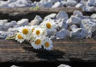 Αίγινα: «Άφαντο» το πρόσωπο-κλειδί στην υπόθεση της 20χρονης – Τι προβληματίζει τις αρχές