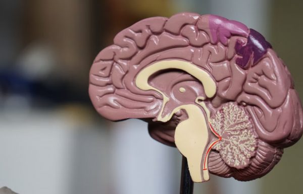 Έρευνα: Γιατί οι πολύ αδύνατοι άνδρες κινδυνεύουν από άνοια (περισσότερο ακόμη και από τις υπέρβαρες)