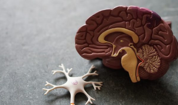 Άνοια: Το πρώιμο σύμπτωμα που οι περισσότεροι αγνοούν