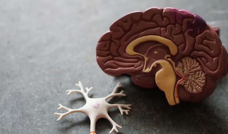 Άνοια: Το πρώιμο σύμπτωμα που οι περισσότεροι αγνοούν