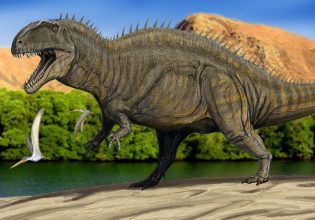 ΗΠΑ: Η ξηρασία αποκάλυψε ίχνη δεινοσαύρων σε κοίτη ποταμού (συγκλονιστικές εικόνες)