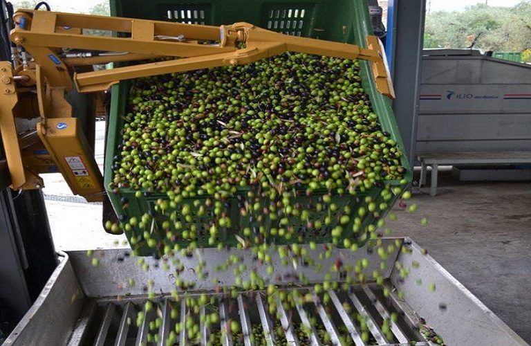 Υπουργείο Τουρισμού: Έρχονται τα επισκέψιμα Ελαιοτριβεία,Ζυθοποιεία και Τυροκομεία