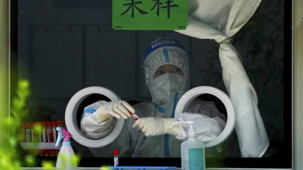Langya: Ο νέος ιός που βρέθηκε στην Κίνα θα μπορούσε να είναι η «κορυφή του παγόβουνου» για μη ανακαλυφθέντα παθογόνα