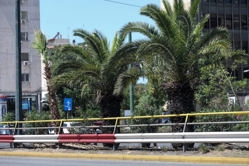 Λεωφόρος Συγγρού: Αλλαξε και έγινε πράσινη με 300 φοίνικες