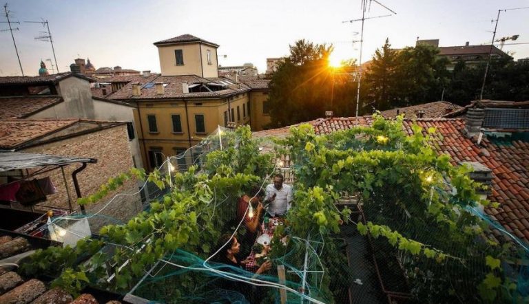 Ο μικρότερος αμπελώνας του κόσμου βρίσκεται σε μία ταράτσα στη Βόρεια Ιταλία