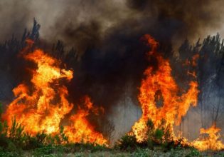 Φωτιά: Η Ευρώπη σπεύδει να βοηθήσει τη Γαλλία, που συνεχίζει να βιώνει πύρινο εφιάλτη