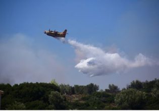 Φωτιά τώρα στην Αρκαδία – Πυρκαγιά και στην Πρέβεζα