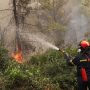 Φωτιά στη Φθιώτιδα: Εκδηλώθηκε ταυτόχρονα σε 4 διαφορετικά σημεία μέσα σε δάσος στη Συκά Υπάτης