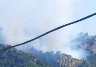 Ηράκλειο: Μεγάλη φωτιά στον Άγιο Βασίλειο Βιάννου