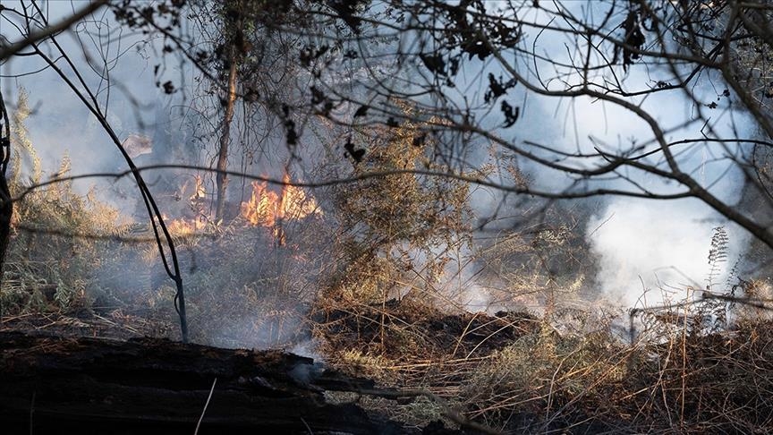 Γαλλία: Μαίνονται οι πυρκαγιές - Στάχτη 60.000 στρέμματα