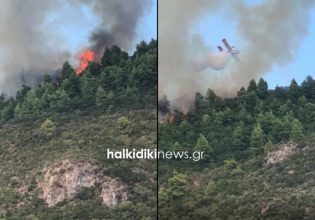 Πυρκαγιές: Δύσκολη η κατάσταση σε Άγιο Όρος, Χαλκίδα και Κόνιτσα – 16 φωτιές ταυτόχρονα σε όλη τη χώρα