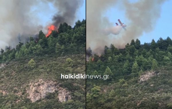 Πυρκαγιές: Δύσκολη η κατάσταση σε Άγιο Όρος, Χαλκίδα και Κόνιτσα – 16 φωτιές ταυτόχρονα σε όλη τη χώρα