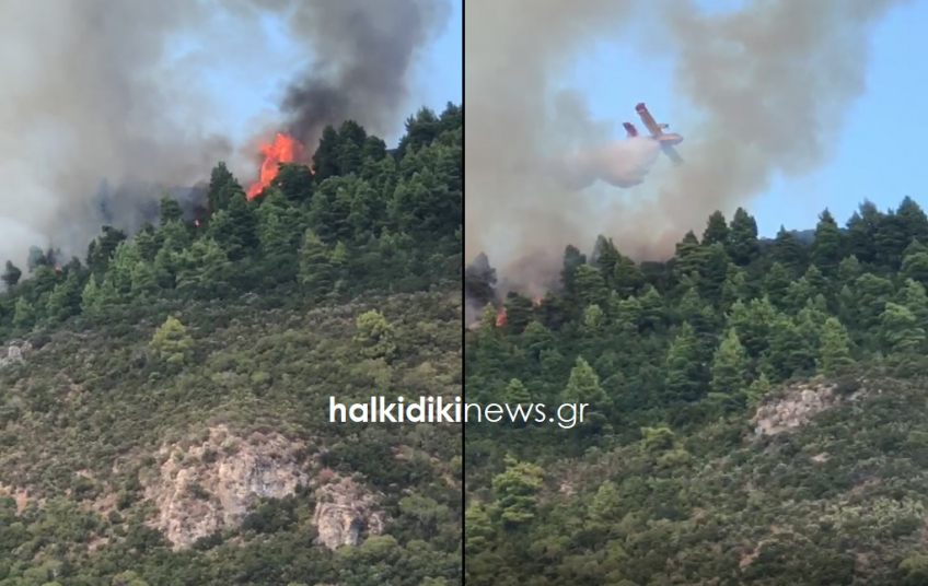 Πυρκαγιές: Δύσκολη η κατάσταση σε Άγιο Όρος, Χαλκίδα και Κόνιτσα - 16 φωτιές ταυτόχρονα σε όλη τη χώρα