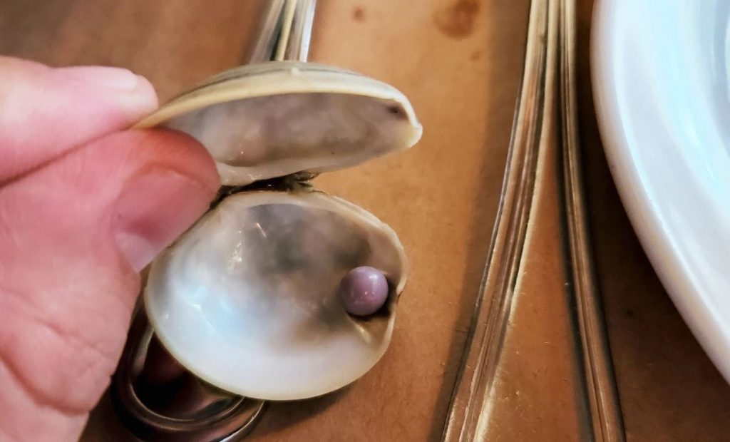 Άνδρας ανακαλύπτει σπάνιο μoβ μαργαριτάρι σε ορεκτικό πιάτο μυδιών σε εστιατόριο
