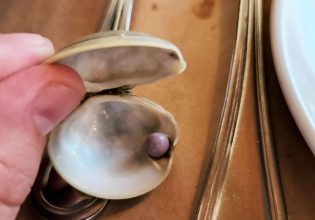 Άνδρας ανακαλύπτει σπάνιο μoβ μαργαριτάρι σε ορεκτικό πιάτο μυδιών σε εστιατόριο