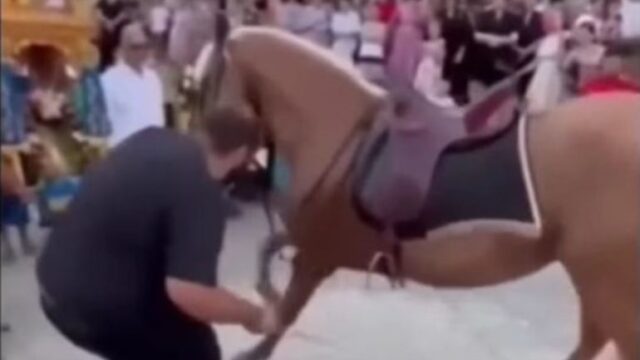 Τύρναβος: Ανάγκασαν άλογα να… προσκυνήσουν την εικόνα της Αγίας Παρασκευής
