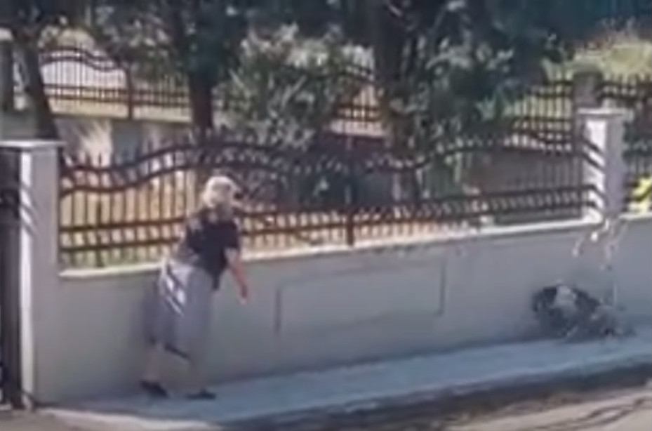 Οργή με βίντεο που δείχνει ηλικιωμένη να επιτίθεται άνευ λόγου σε σκύλο