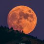Το τελευταίο «μάθημα» του Διονύση Σιμόπουλου για το Αυγουστιάτικο Φεγγάρι