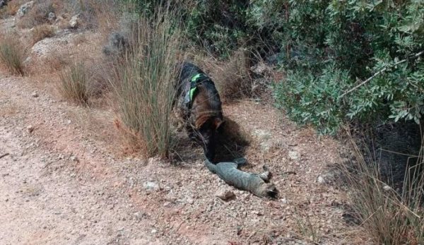 Ρόδος: Φόλες και νεκρά ζώα εντόπισε στα Κοσκινού η «Τσίκα»