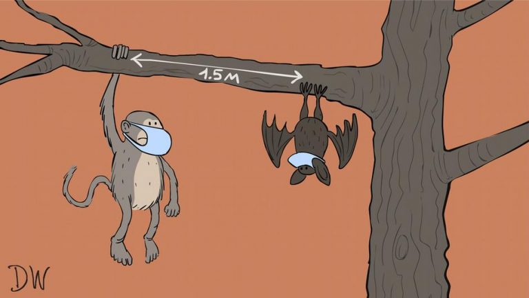 Ασθένειες: Παράλογο κυνήγι… ονομάτων – Στιγματισμός Κινέζων και λιθοβολισμός πιθήκων