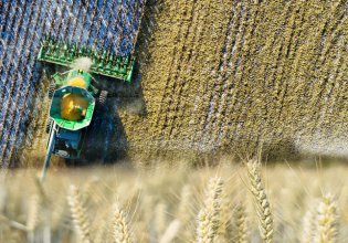 Σιτηρά: Σε αναζήτηση εναλλακτικής λύσης – Βουτιά στη ζήτηση