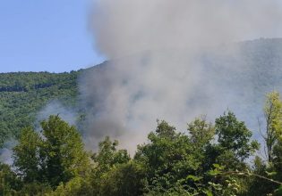 Φωτιά σε Άγιο Όρος και Κόνιτσα: Η εικόνα από τα πύρινα μέτωπα