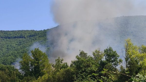 Φωτιά σε Άγιο Όρος και Κόνιτσα: Η εικόνα από τα πύρινα μέτωπα