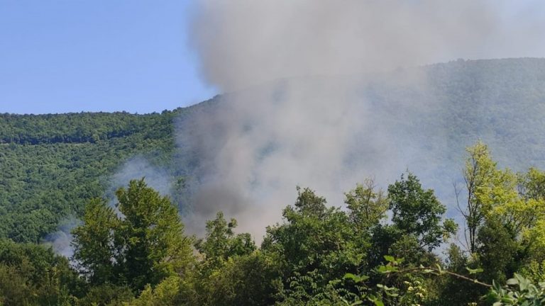Φωτιά σε Άγιο Όρος και Κόνιτσα: Η εικόνα από τα πύρινα μέτωπα
