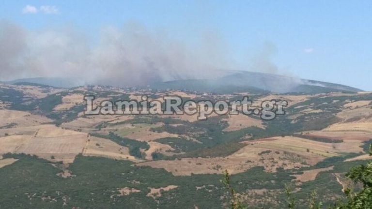 Φωτιές: Δύο τα μέτωπα στο Πετρωτό Δομοκού – 65 δασικές πυρκαγιές σε ένα 24ωρο