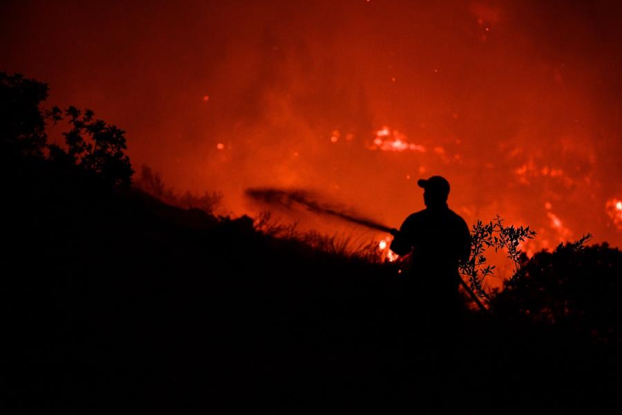 Πυρκαγιά στην Αμαλιάδα: Καίγονται δασικές και γεωργικές εκτάσεις