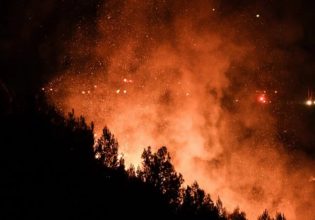 Αχαΐα: Μεγάλη πυρκαγιά σε πευκοδάσος του δήμου Ερυμάνθου – Ανησυχία λόγω των δυνατών ανέμων