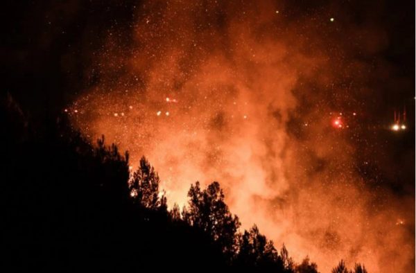 Αχαΐα: Μεγάλη πυρκαγιά σε πευκοδάσος του δήμου Ερυμάνθου – Ανησυχία λόγω των δυνατών ανέμων