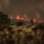 Βόρεια Εύβοια: Έναν χρόνο μετά τις μεγάλες πυρκαγιές προσπαθεί να σταθεί ξανά στα «πόδια» της