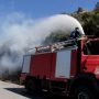 Φωτιά στην Κρανιά Πέλλας: Μεγάλη κινητοποίηση της πυροσβεστικής