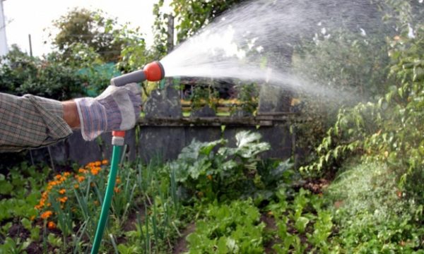 Βρετανία: Απαγορεύεται η χρήση λάστιχων ποτίσματος λόγω ξηρασίας