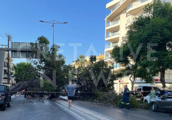 Ηράκλειο: Θρήνος για άνδρα που καταπλακώθηκε από δέντρο