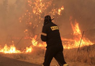31 δασικές πυρκαγιές το τελευταίο 24ώρο, υψηλός κίνδυνος και αύριο Τετάρτη