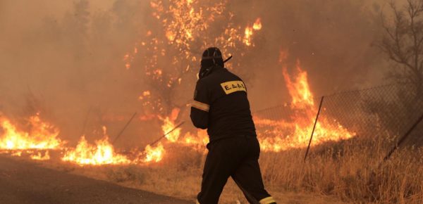 31 δασικές πυρκαγιές το τελευταίο 24ώρο, υψηλός κίνδυνος και αύριο Τετάρτη