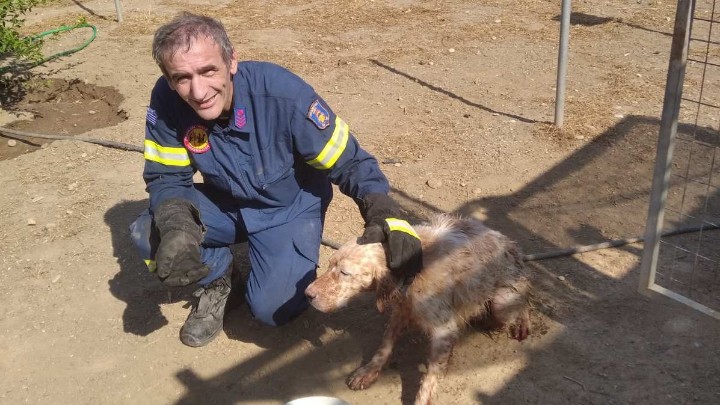 Ρόδος: Η Πυροσβεστική έσωσε σκυλί που έπεσε σε πηγάδι βάθους έξι μέτρων
