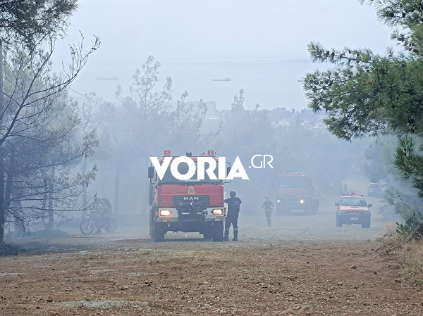 Οριοθετήθηκε η πυρκαγιά στο Σέιχ Σου – Ισχυρές δυνάμεις παραμένουν στο σημείο