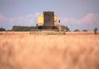 Καύσωνας και ξηρασία απειλούν την οικονομία