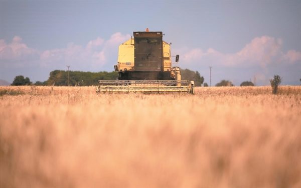 Καύσωνας και ξηρασία απειλούν την οικονομία
