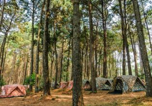 Μεσσηνία: Συνέλαβαν 18 άτομα για ναρκωτικά σε κάμπινγκ