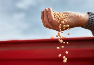 Επισιτιστική κρίση: Πόσο κοντά είμαστε – Η ανάλυση του Bloomberg