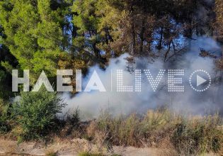 Φωτιά στα Βαρβάσαινα Ηλείας