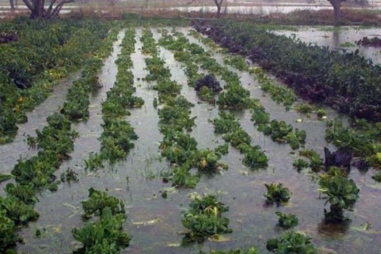 Κοζάνη: Σε κατάσταση έκτακτης ανάγκης ο Δήμος Εορδαίας εξαιτίας της κακοκαιρίας