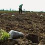 Λάρισα: Άνδρας βρέθηκε νεκρός στο χωράφι του