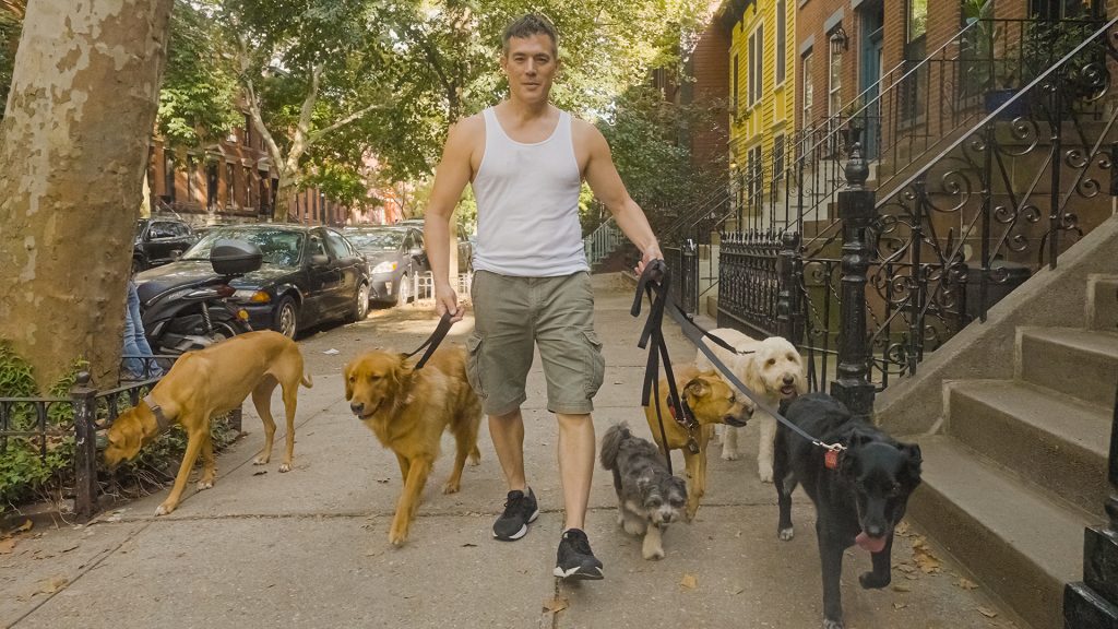 Κατάφερε να βγάζει 100.000 δολάρια ετησίως βγάζοντας βόλτα σκύλους