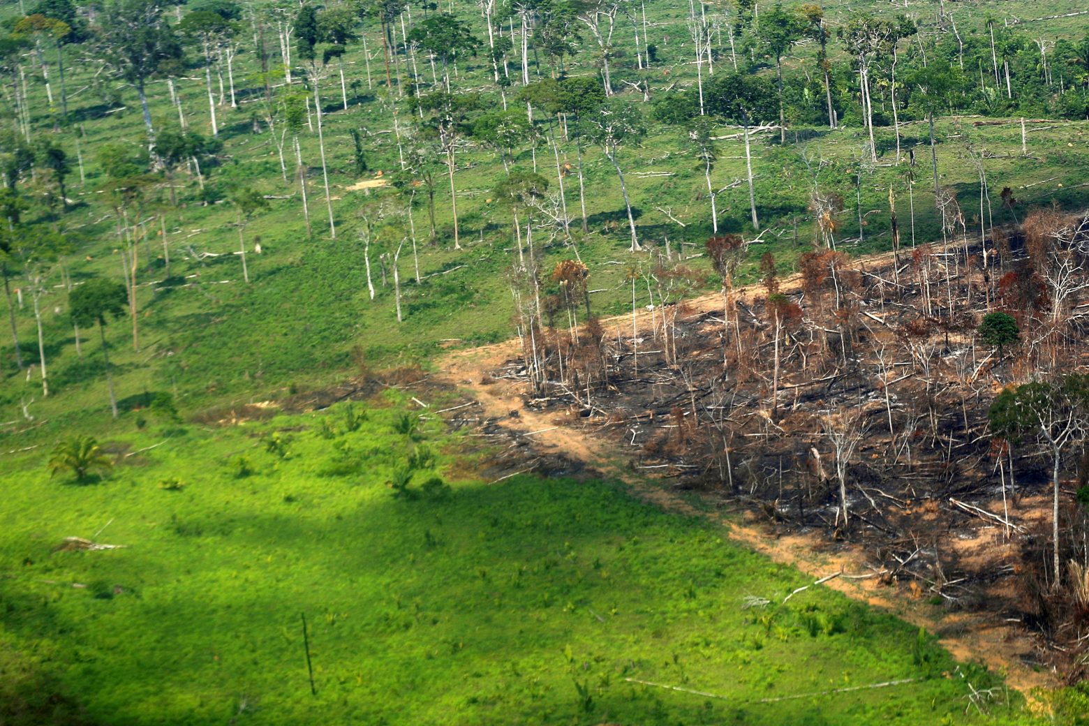 Αμαζόνιος: Κυρώσεις ετοιμάζουν οι ΗΠΑ για την παράνομη αποψίλωση